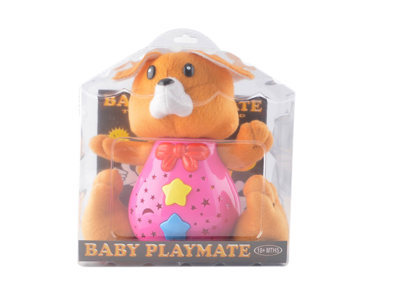 Plush Squirrel(Music + Projection)