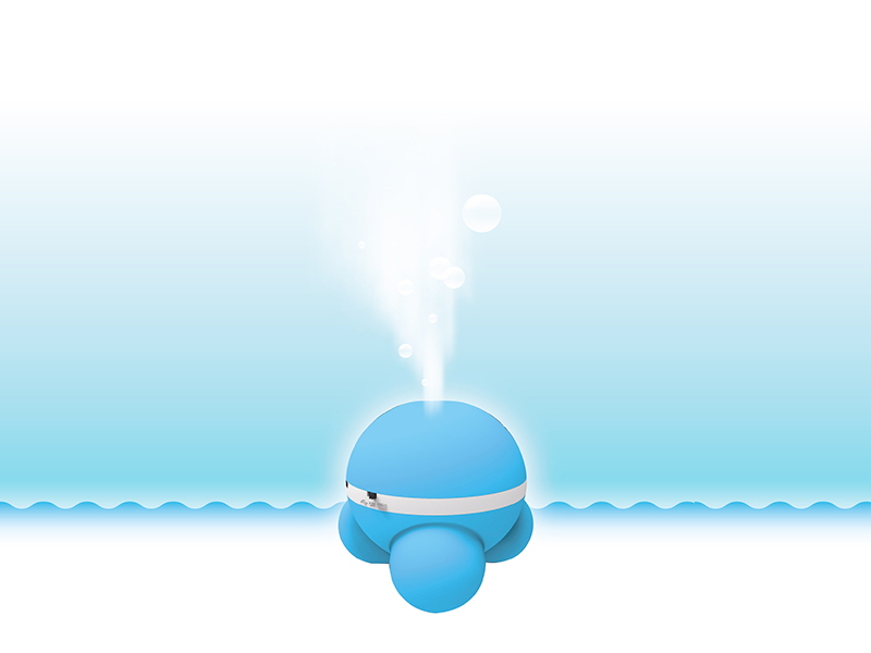 Humidifier Experiment