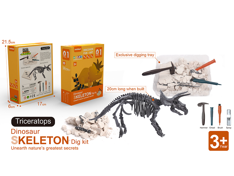 Dinosaur Skeleton Dig Kit - Triceratops