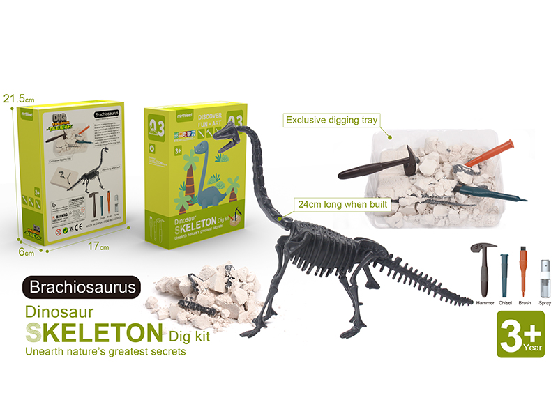 Dinosaur Skeleton Dig Kit - Brachiosaurus