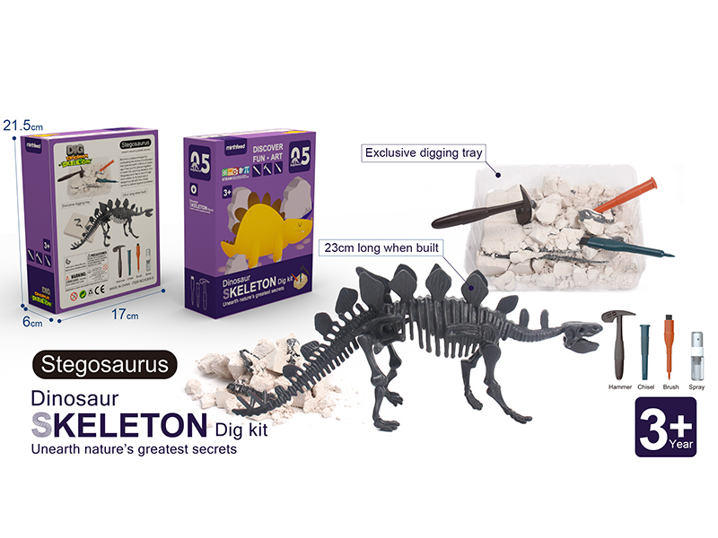 Dinosaur Skeleton Dig Kit - Stegosaurus