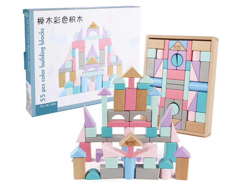 Wooden 55pcs Color Building Blocks