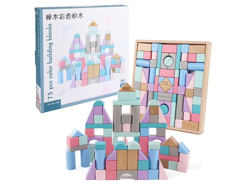 Wooden 75pcs Color Building Blocks