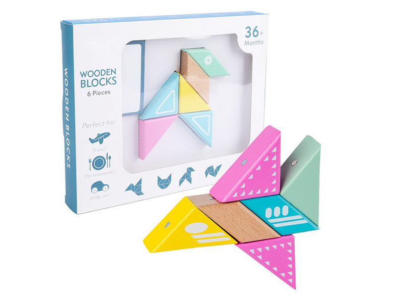 Wooden 6pcs Magnetism Building Blocks