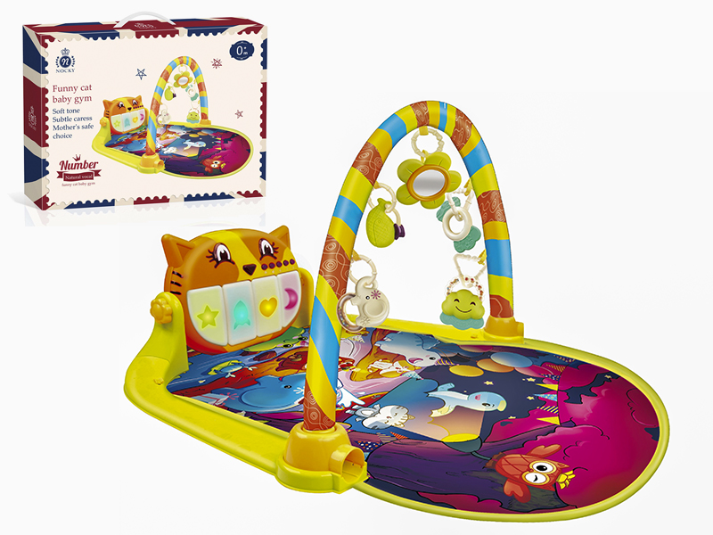 Funny Cat Fitness Blanket