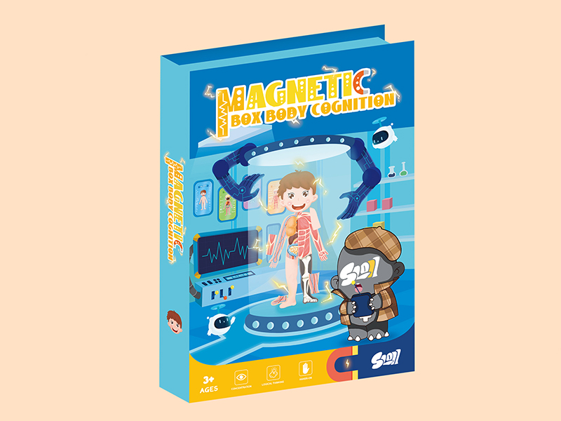 Magnetic Puzzle - Body Cognition