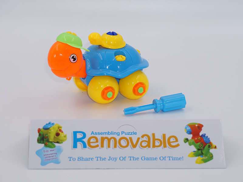 Removable Turtle Toy