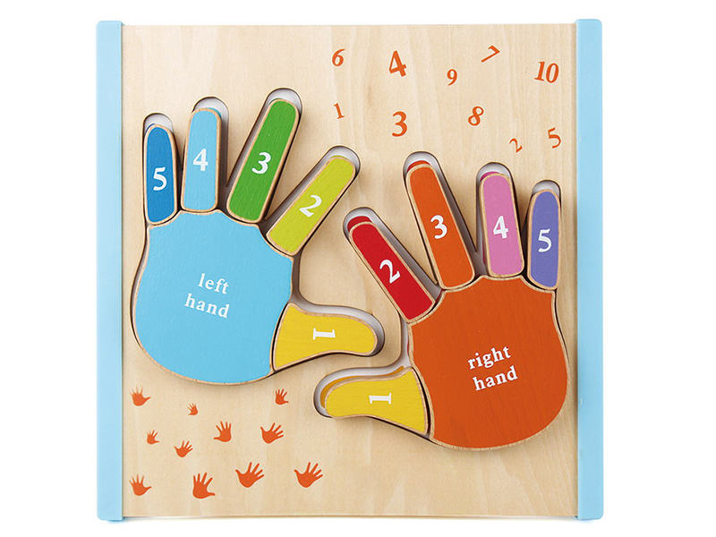 Wooden Fnger Palm Learning Puzzle