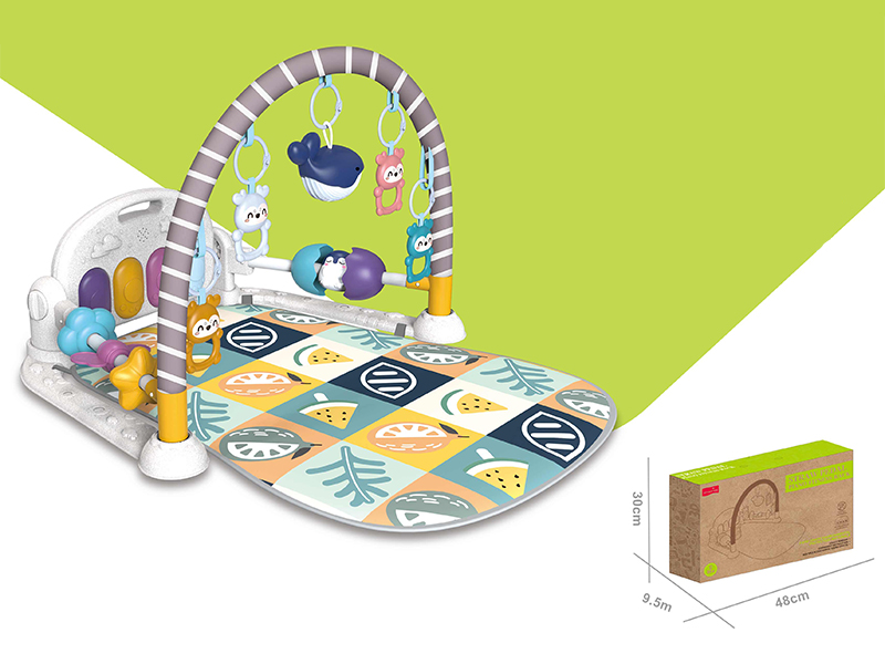 Steaw Pedal Piano Fitness Rack With Light And Music