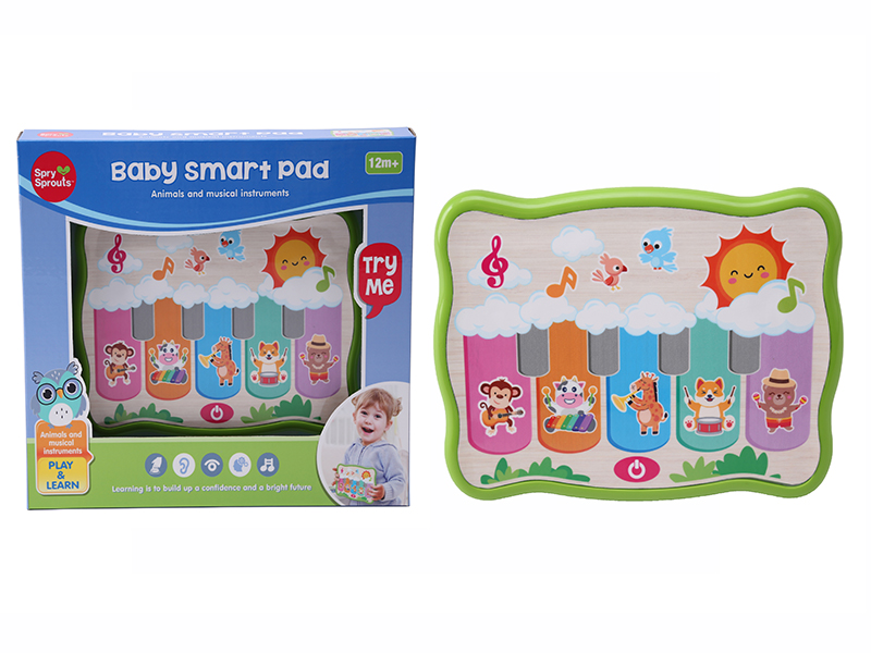 Baby Piano Pad Learning Machine