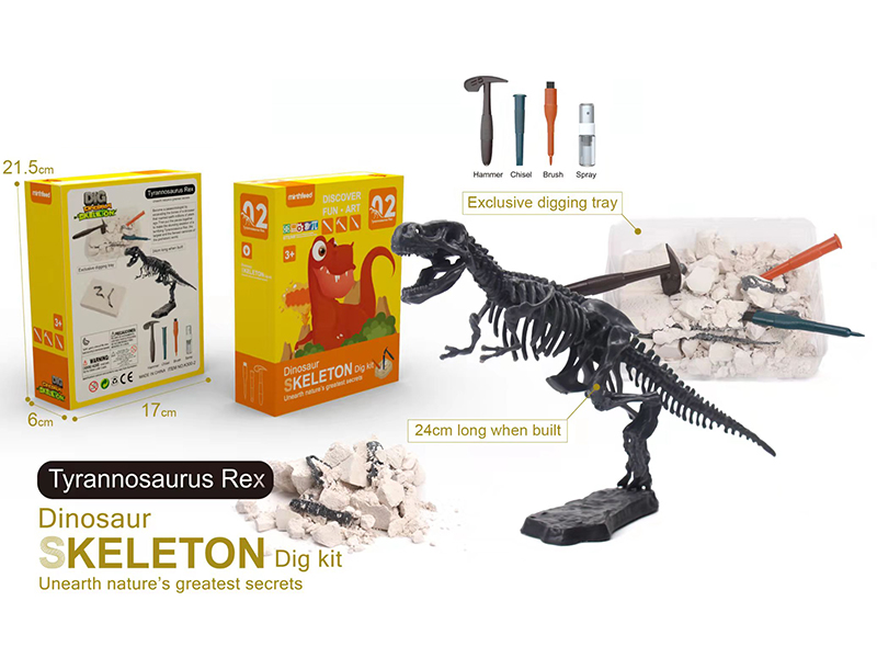 Tyrannosaurus Rex Skeleton Dig Kit