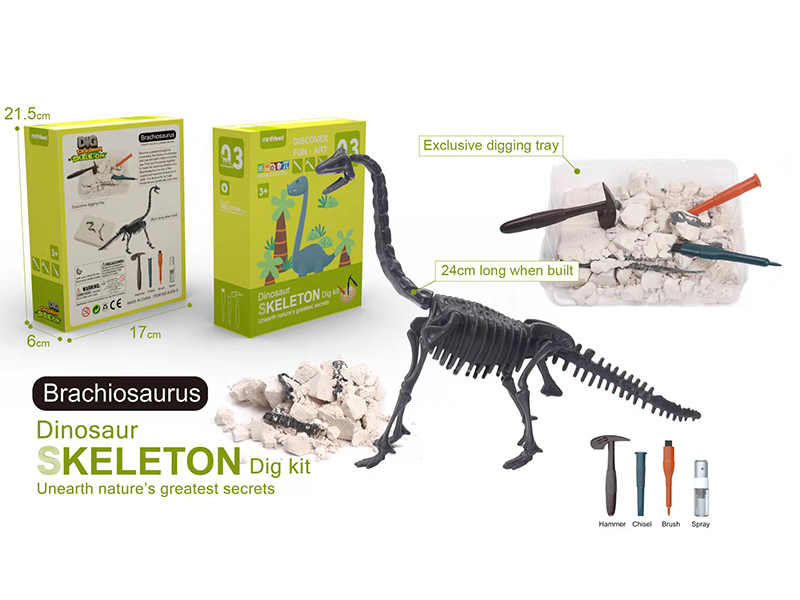 Brachiosaurus Skeleton Dig Kit