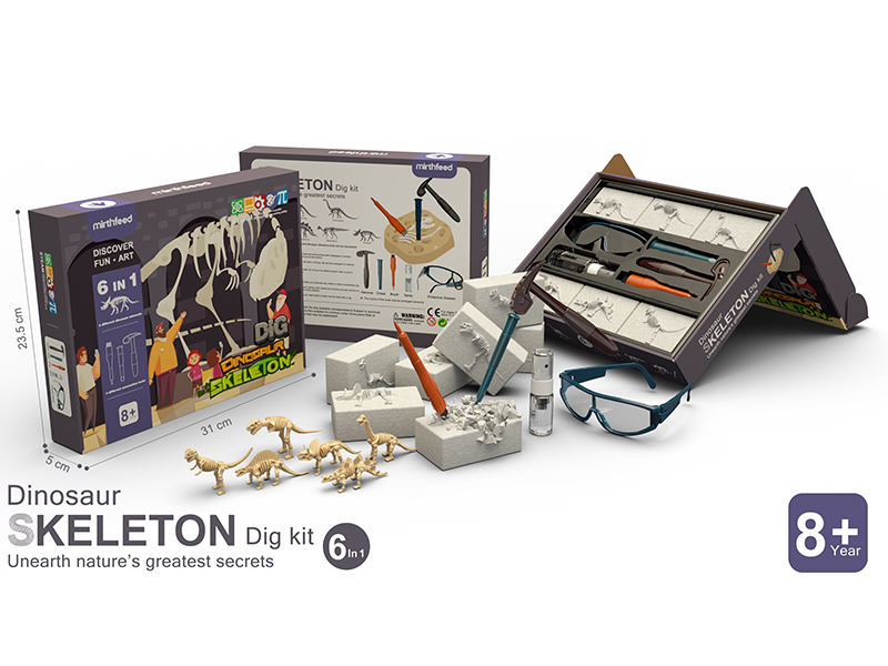 Dinosaur Skeleton Dig Kit 6 In 1