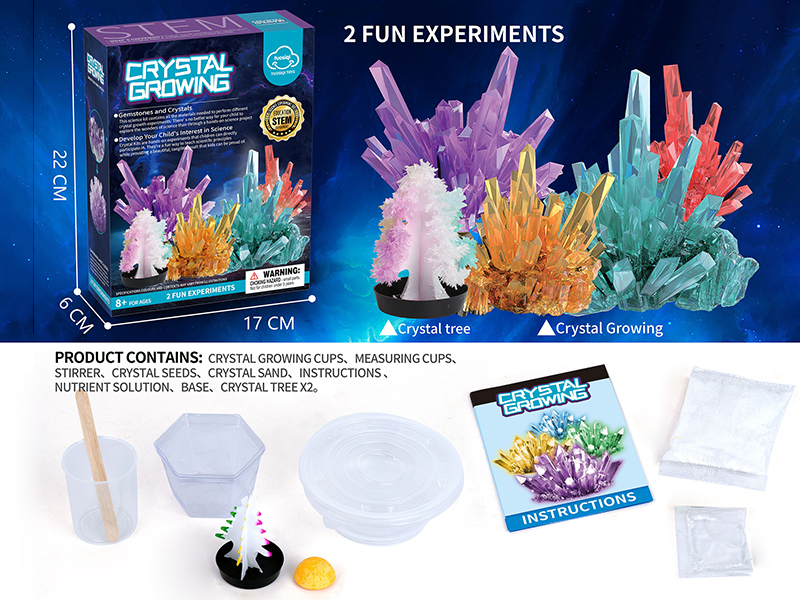 Crystal Growing + Crystal Tree