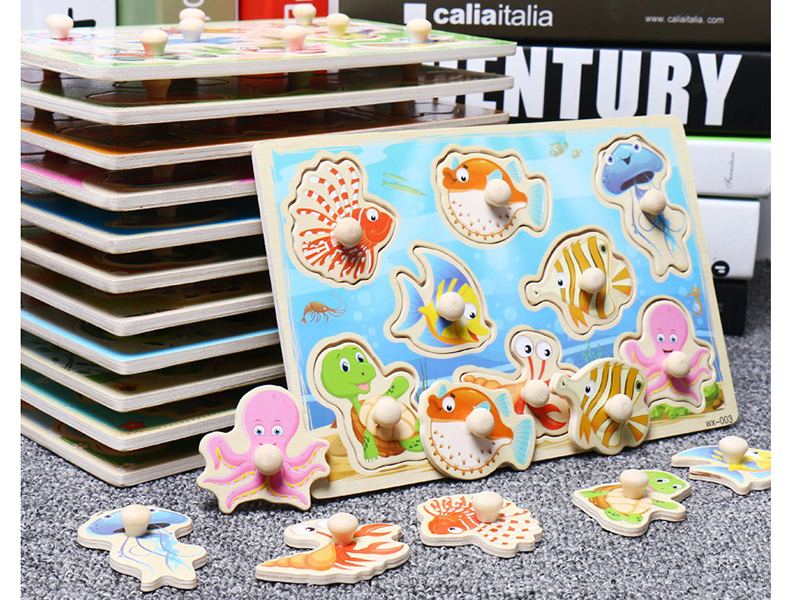 Wooden Shape Matching Board