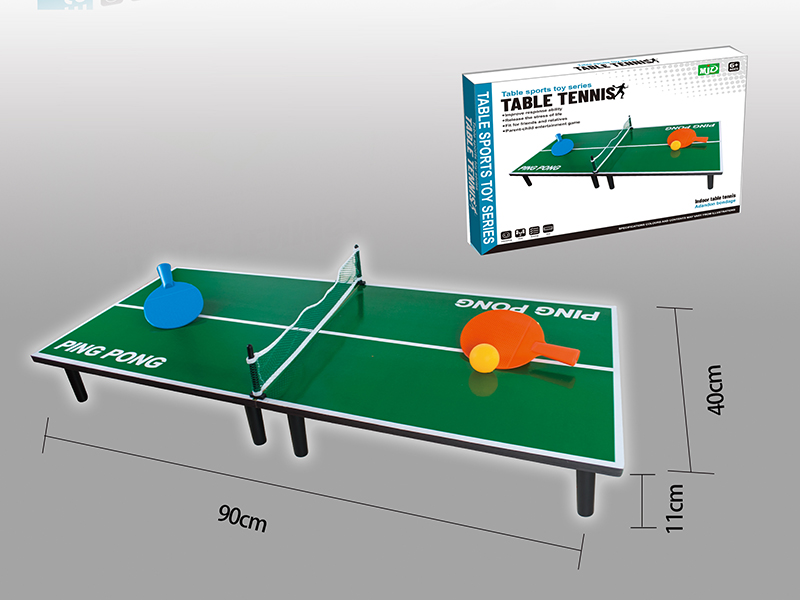 Wooden Ping-Pong Table