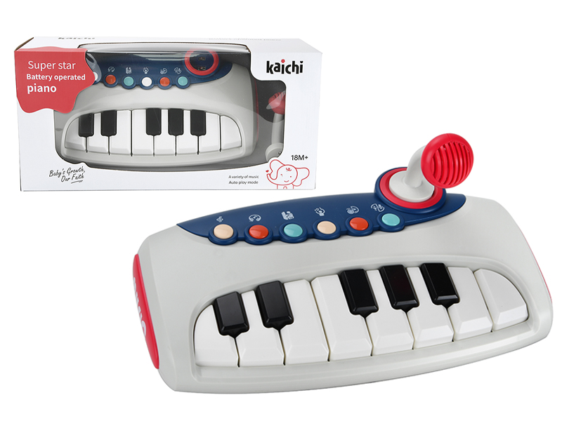 Electronic Organ With Light Music