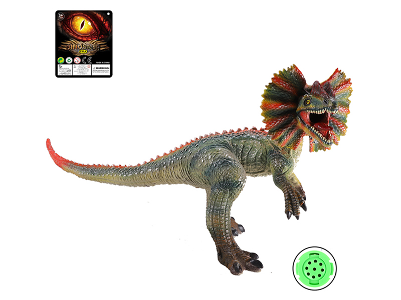 30 Inch Double Crown Dragon