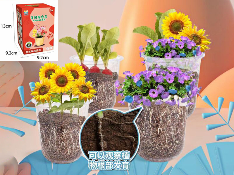 Experimental Planting Seedling Cup