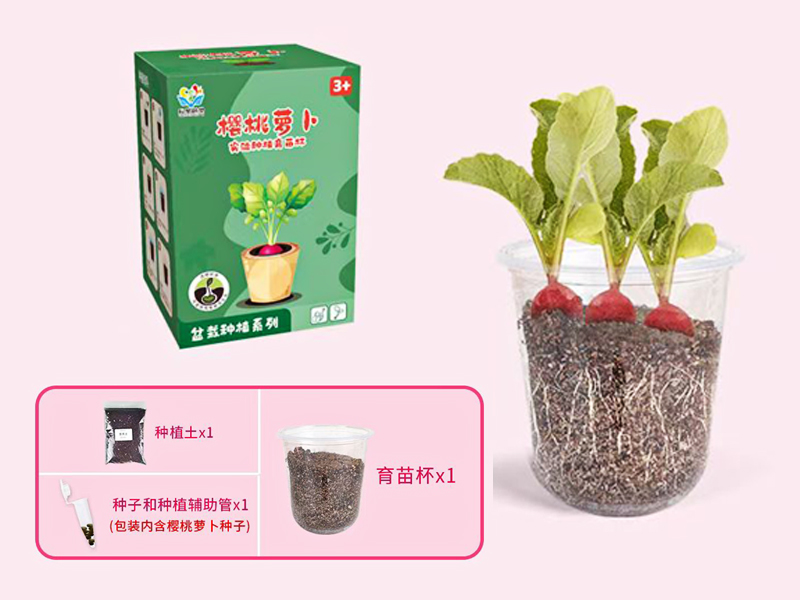 Cherry Radish Planting Cup