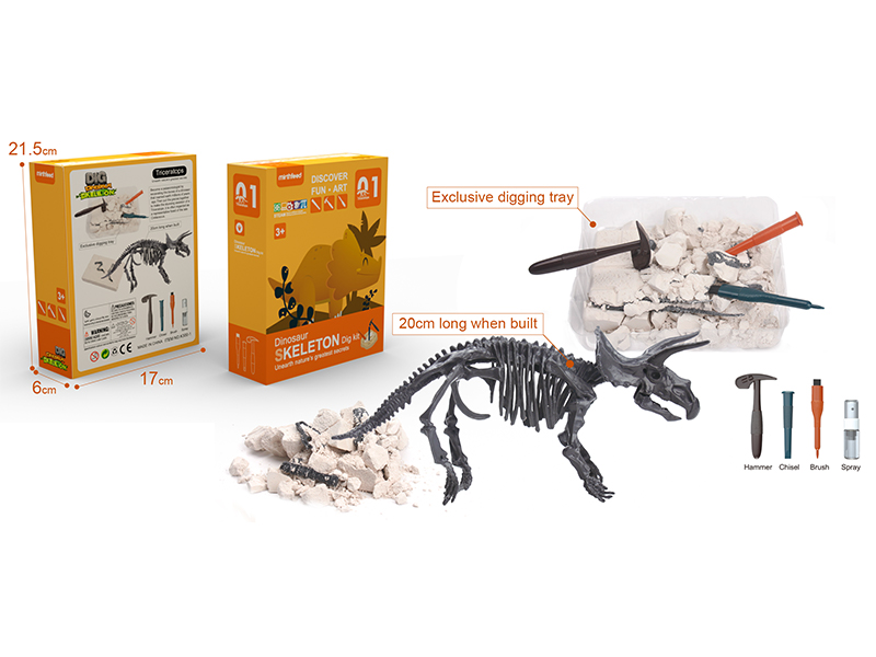 Dinosaur Archaeology Set - Triceratops