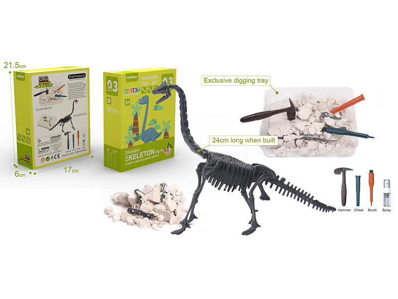 Dinosaur Archaeology Set - Brachiosaurus