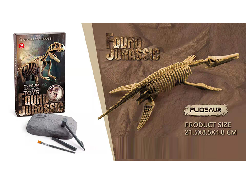 Static Educational Toys