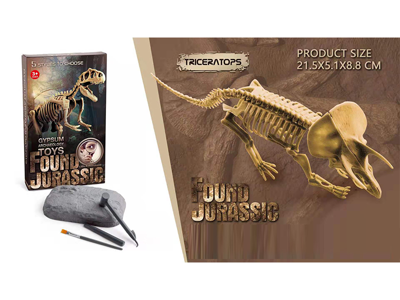 Static Educational Toys