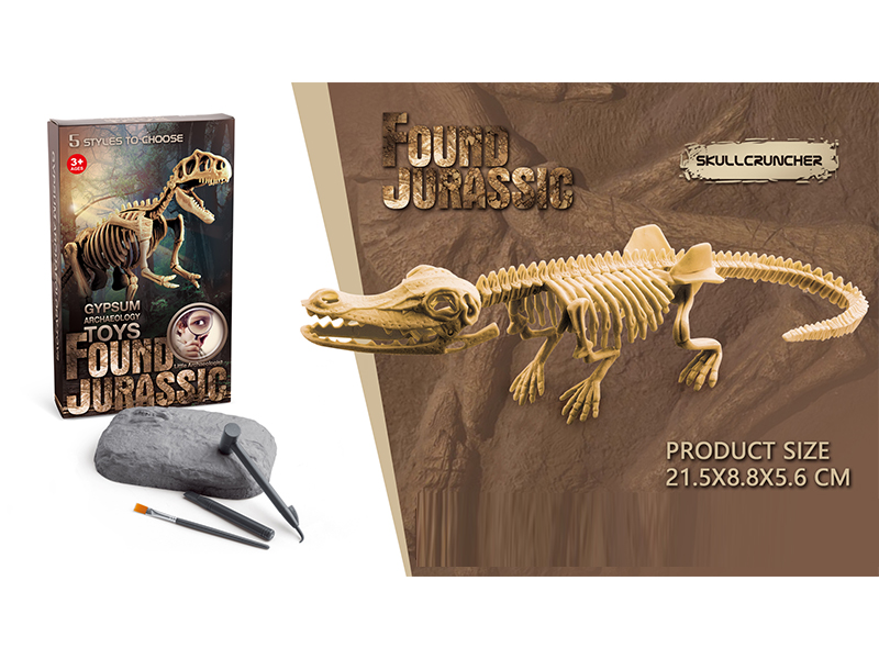 Static Educational Toys