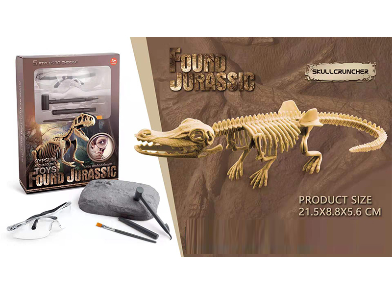 Static Educational Toys