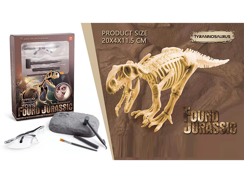 Static Educational Toys