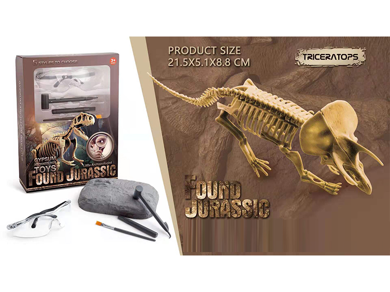 Static Educational Toys