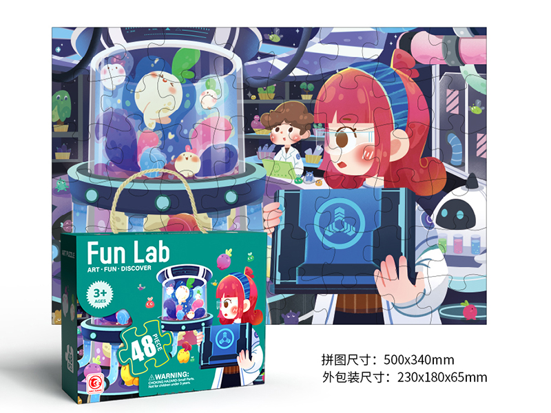 48PCS Interesting Lab Puzzle