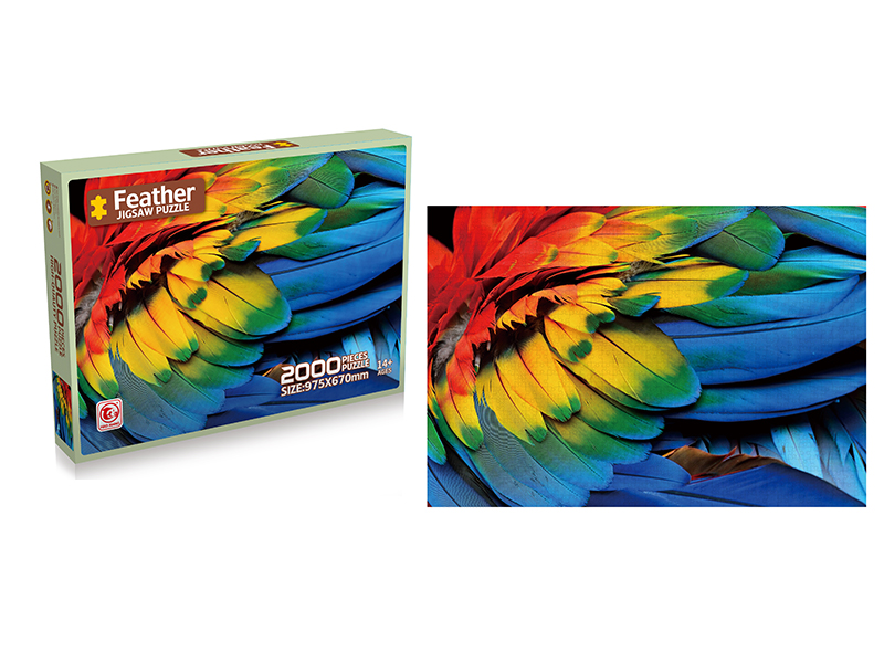 2000PCS Jigsaw Puzzle