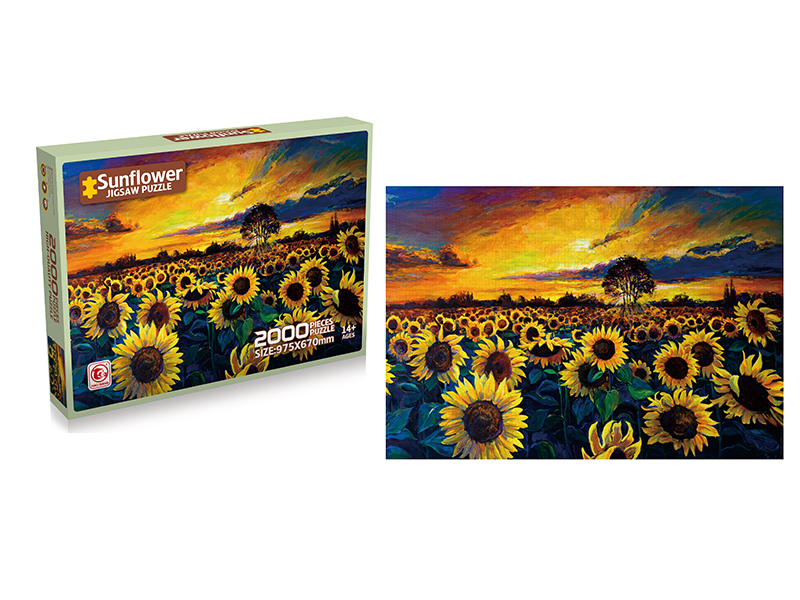 2000PCS Jigsaw Puzzle