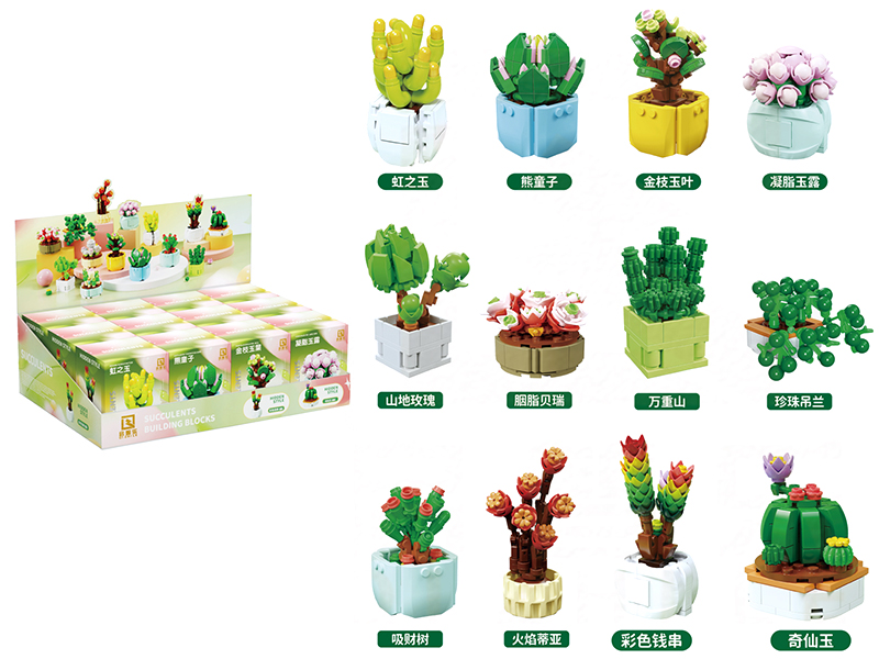 (12)Succulents Building Blocks