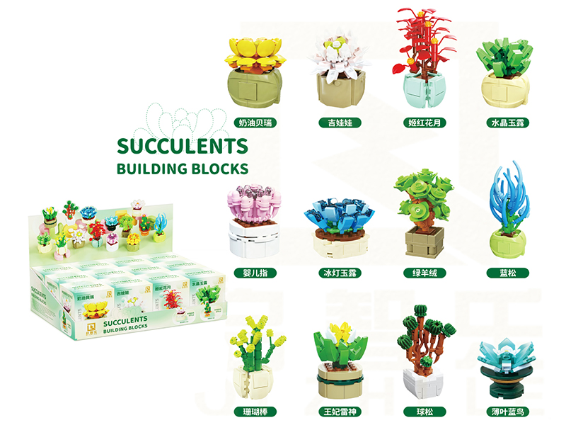 (12)Succulents Building Blocks