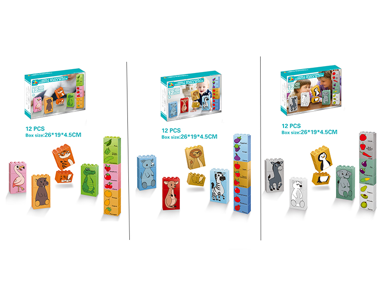 Cognitive Puzzle Building Blocks