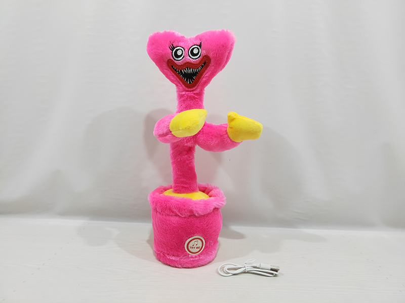 Poppy Dancing Cactus