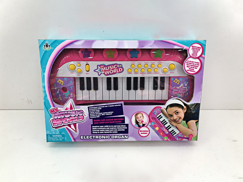24 Key Electronic Piano Set