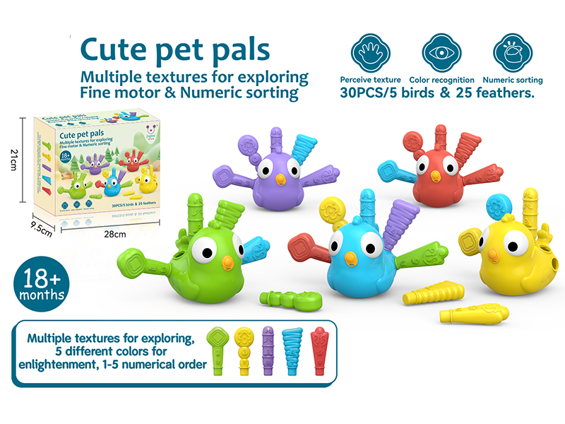 Baby Perceive Textures Rainbow Bird(5PCS)