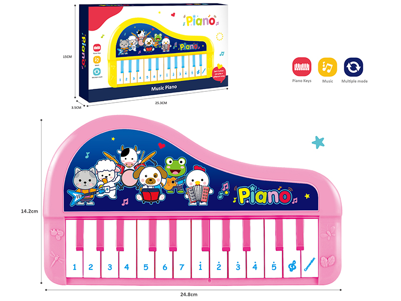 24 Keys Electronic Organ