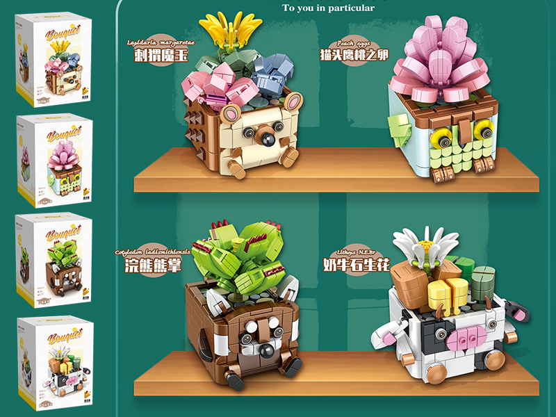 Building Blocks Mini Pot Plant - Lapidaria Margaretae /Graptopetalum Amethystinum/Bear's-Paw/Lithops