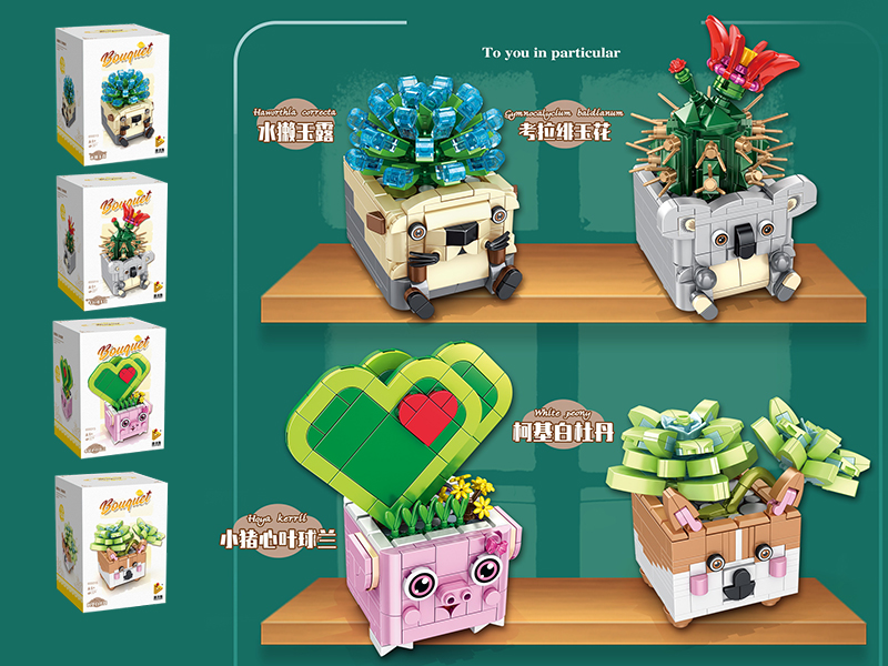 Building Blocks Mini Pot Plant - Haworthia/Gymnocalycium Baldianum/Hoya Kerrii Craib/White Peony