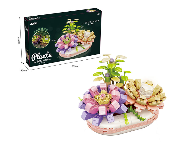 Building Blocks Succulent Pot Plant