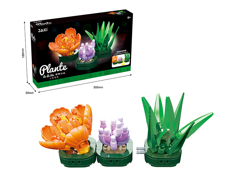 Building Blocks Succulent Pot Plant