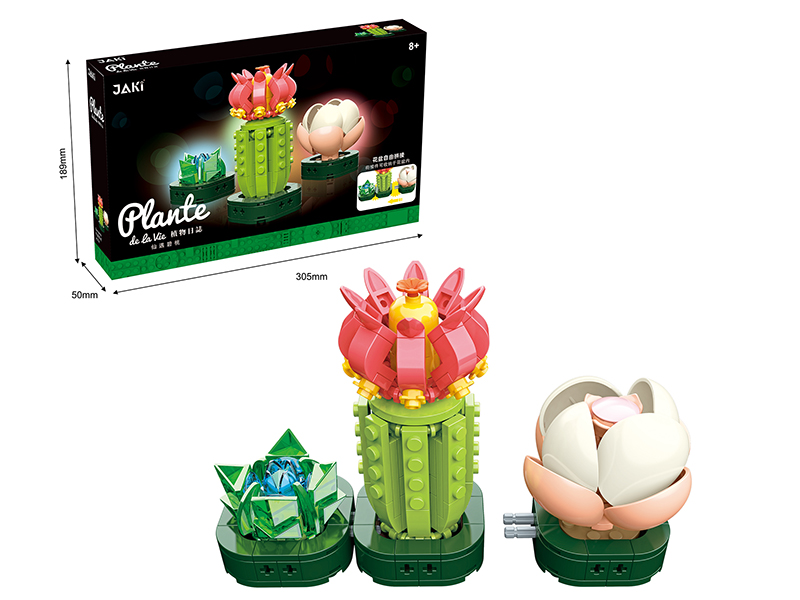 Building Blocks Succulent Pot Plant