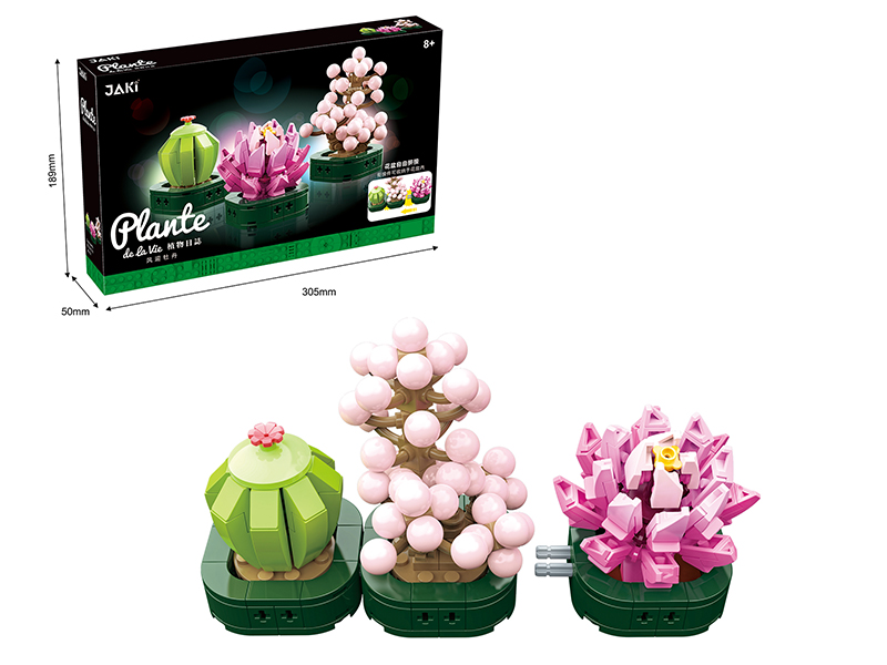 Building Blocks Succulent Pot Plant