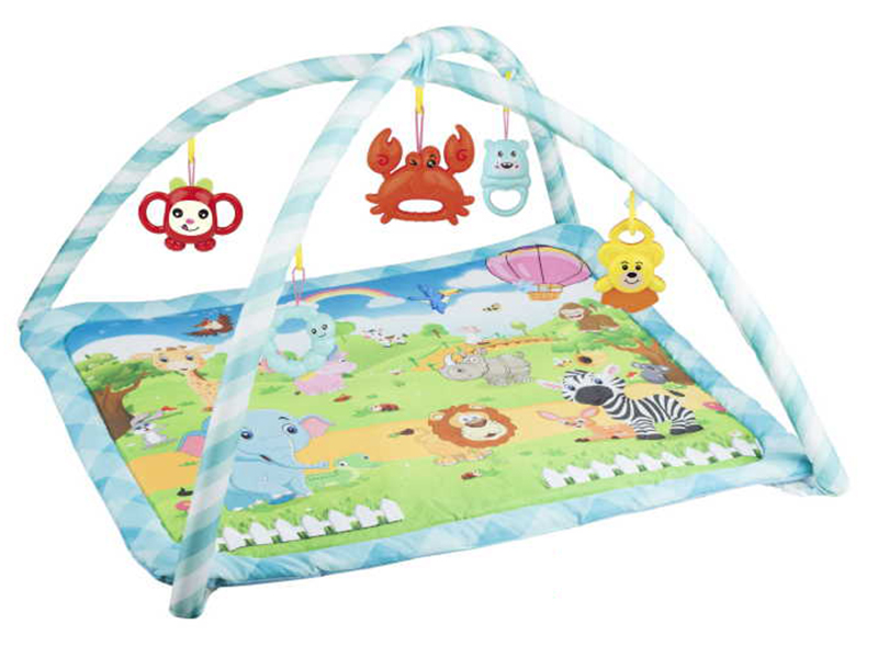 Baby Fitness Blanket
