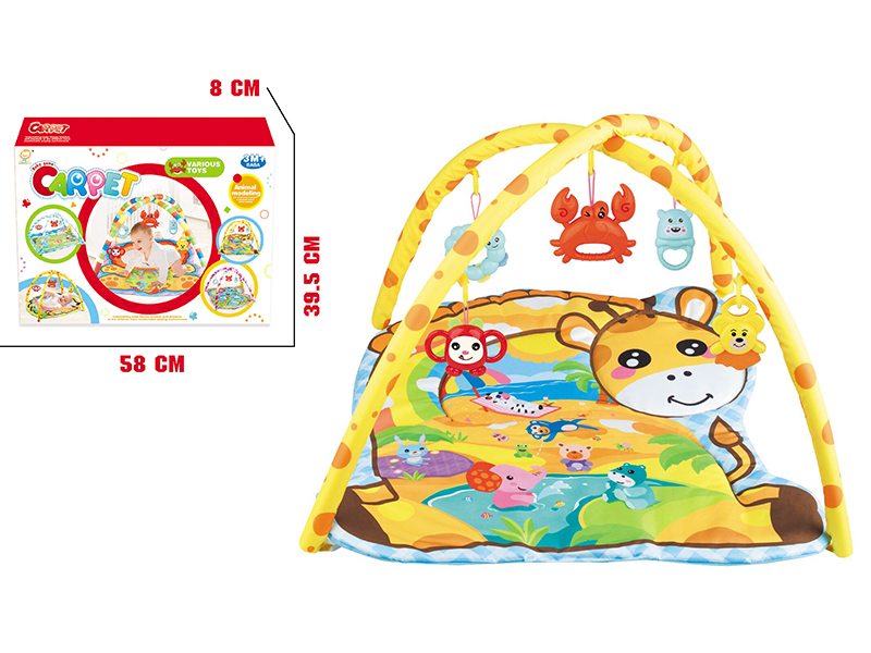 Baby Fitness Blanket